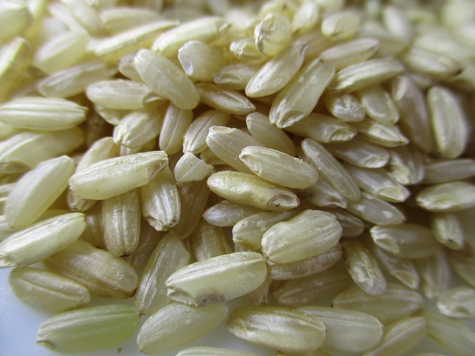 De cocido arroz de taza integral calorias una