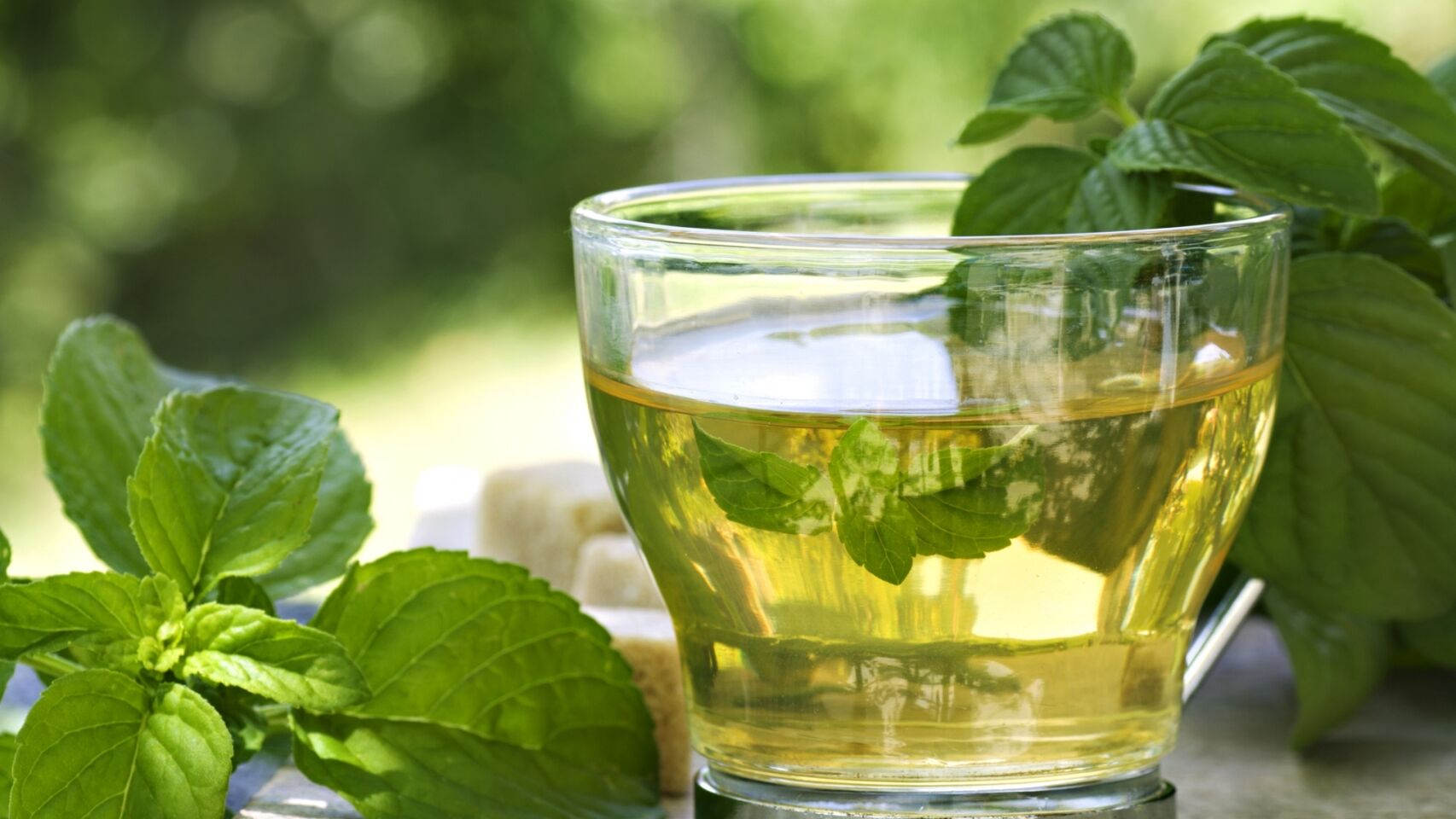 te verde para dormir