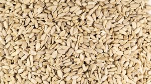 alimentos ricos en vitamina E