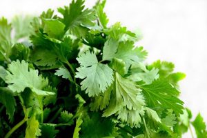 Beneficios del cilantro