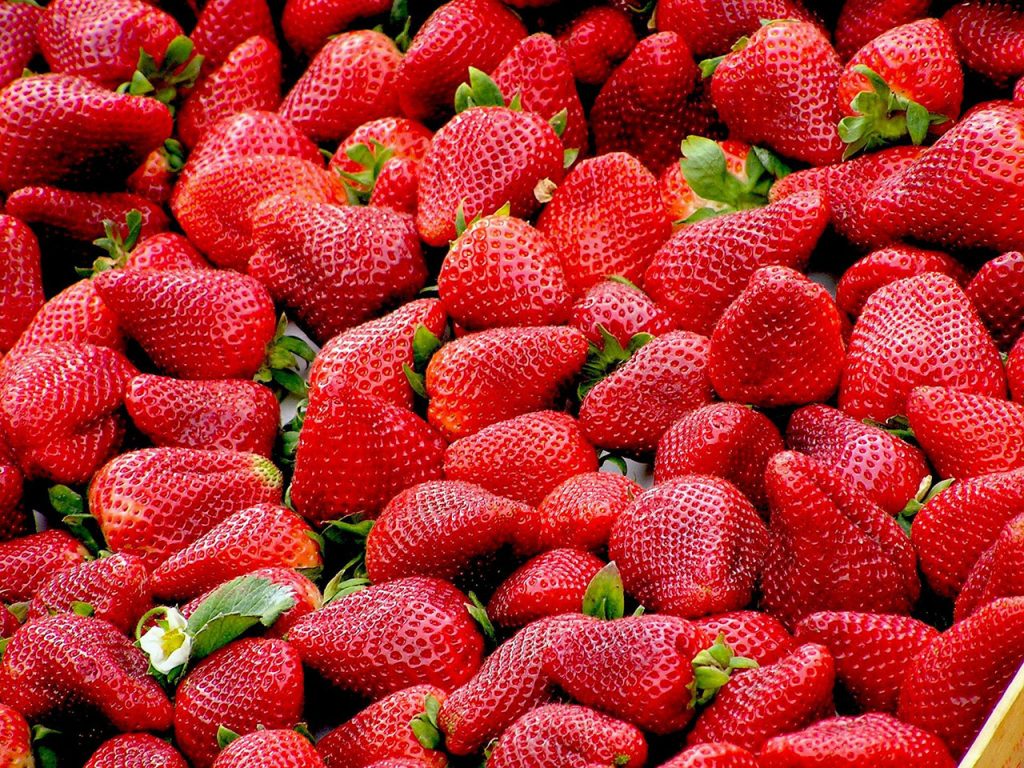 Fresas beneficios y contraindicaciones