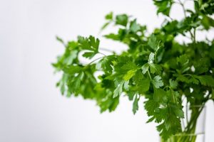 Beneficios del cilantro