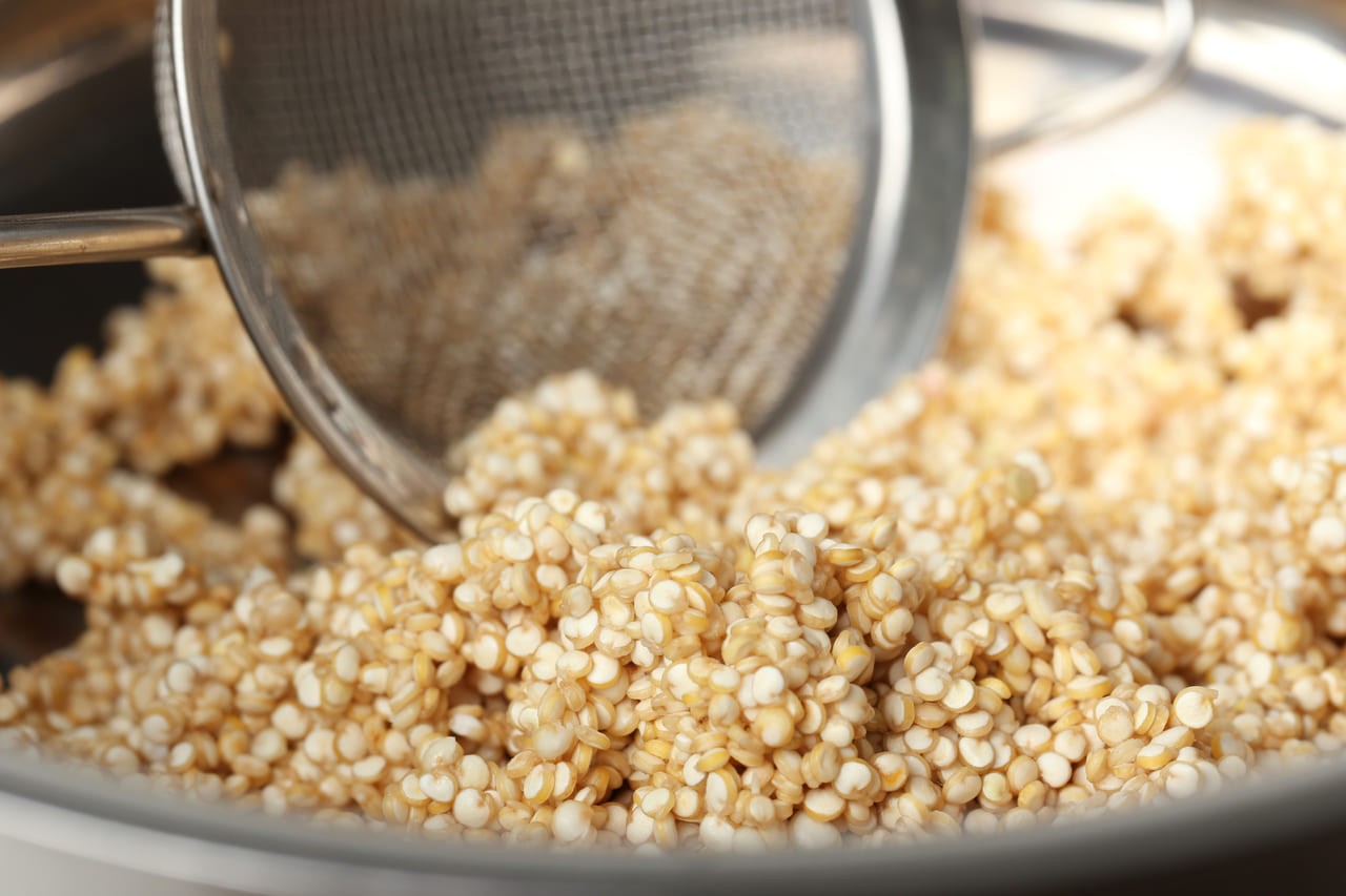 ¿La quinoa engorda? Aquí resolvemos tu duda SALA DE PRENSA