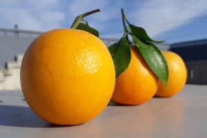 Beneficios de la naranja