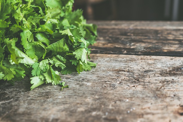 Cilantro: beneficios y contraindicaciones