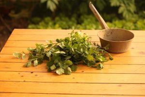 Beneficios del cilantro